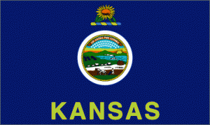 kansas flag